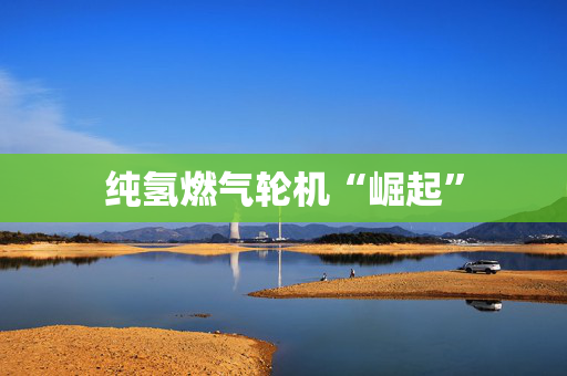 纯氢燃气轮机“崛起”