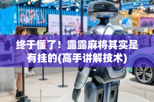 终于懂了！露露麻将其实是有挂的(高手讲解技术)