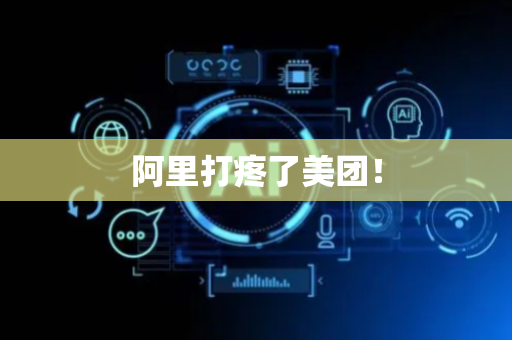 阿里打疼了美团！