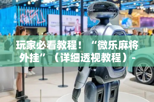 玩家必看教程！“微乐麻将外挂”（详细透视教程）-哔哩哔哩
