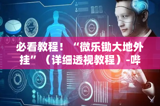 必看教程！“微乐锄大地外挂”（详细透视教程）-哔哩哔哩