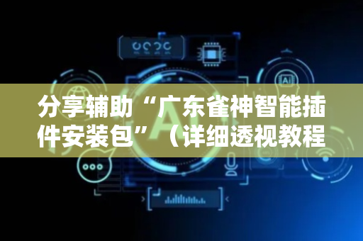 分享辅助“广东雀神智能插件安装包”（详细透视教程）-哔哩哔哩