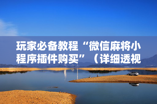 玩家必备教程“微信麻将小程序插件购买”（详细透视教程）-哔哩哔哩