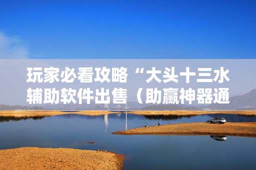 玩家必看攻略“大头十三水辅助软件出售（助赢神器通用版）