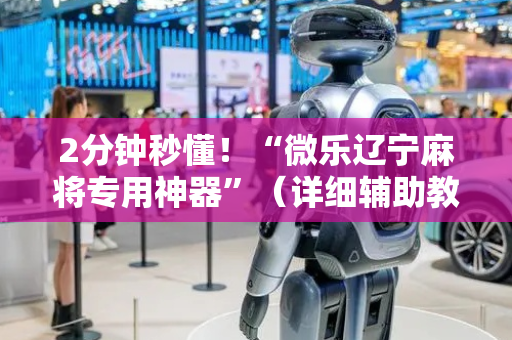 2分钟秒懂！“微乐辽宁麻将专用神器”（详细辅助教程）-哔哩哔哩