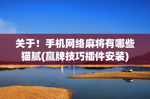 关于！手机网络麻将有哪些猫腻(赢牌技巧插件安装)