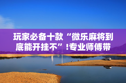 玩家必备十款“微乐麻将到底能开挂不”!专业师傅带你一起了解（详细教程）-抖音