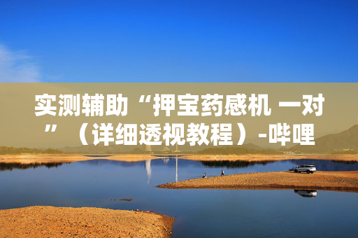 实测辅助“押宝药感机 一对”（详细透视教程）-哔哩哔哩