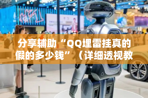 分享辅助“QQ埋雷挂真的假的多少钱”（详细透视教程）-哔哩哔哩