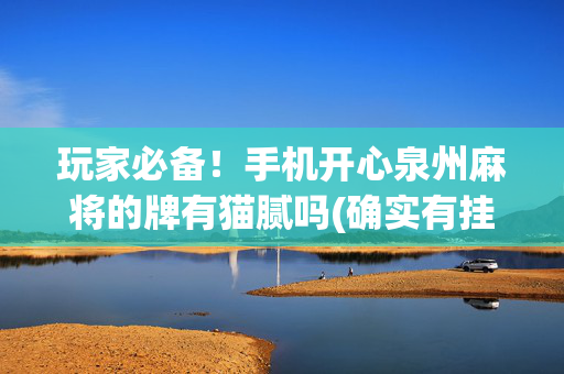 玩家必备！手机开心泉州麻将的牌有猫腻吗(确实有挂吗)