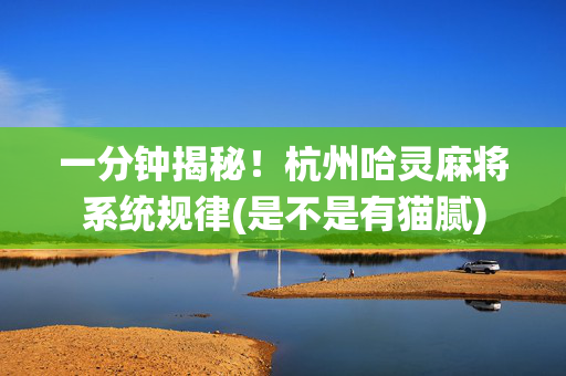 一分钟揭秘！杭州哈灵麻将系统规律(是不是有猫腻)