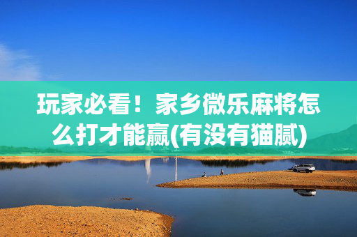 玩家必看！家乡微乐麻将怎么打才能赢(有没有猫腻)