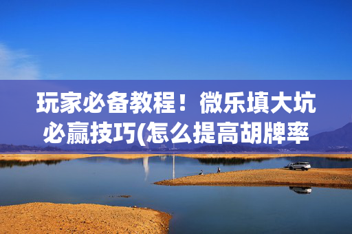 玩家必备教程！微乐填大坑必赢技巧(怎么提高胡牌率)