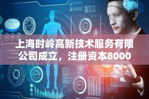上海时岭高新技术服务有限公司成立，注册资本8000万人民币