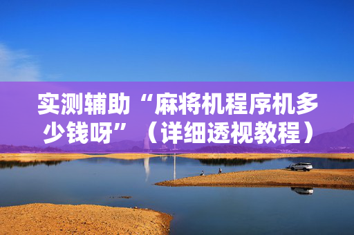 实测辅助“麻将机程序机多少钱呀”（详细透视教程）-哔哩哔哩