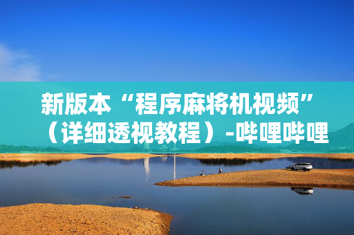 新版本“程序麻将机视频”（详细透视教程）-哔哩哔哩