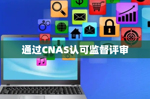 通过CNAS认可监督评审