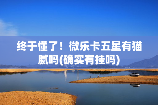 终于懂了！微乐卡五星有猫腻吗(确实有挂吗)