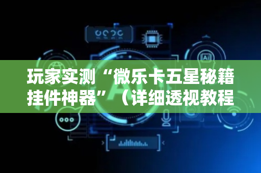 玩家实测“微乐卡五星秘籍挂件神器”（详细透视教程）-哔哩哔哩