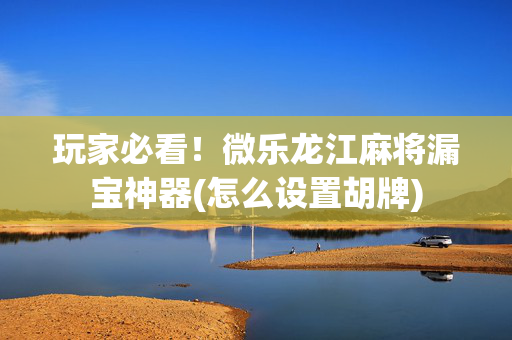 玩家必看！微乐龙江麻将漏宝神器(怎么设置胡牌)