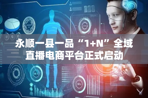 永顺一县一品“1+N”全域直播电商平台正式启动