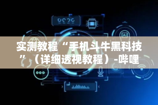实测教程“手机斗牛黑科技”（详细透视教程）-哔哩哔哩