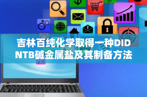 吉林百纯化学取得一种DIDNTB碱金属盐及其制备方法和应用专利
