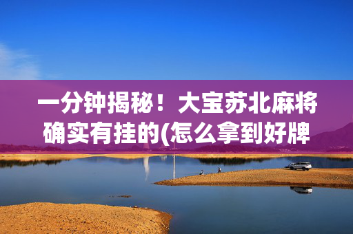 一分钟揭秘！大宝苏北麻将确实有挂的(怎么拿到好牌)
