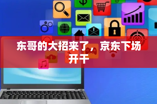 东哥的大招来了，京东下场开干