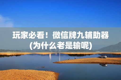 玩家必看！微信牌九辅助器(为什么老是输呢)