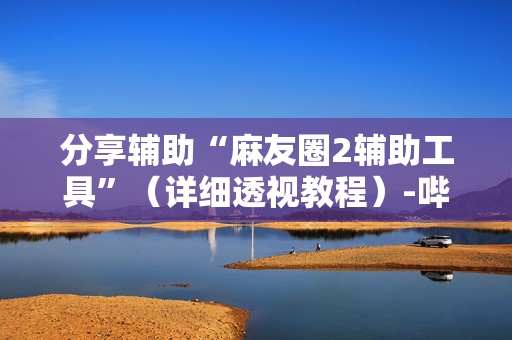 分享辅助“麻友圈2辅助工具”（详细透视教程）-哔哩哔哩