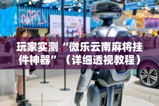 玩家实测“微乐云南麻将挂件神器”（详细透视教程）-哔哩哔哩