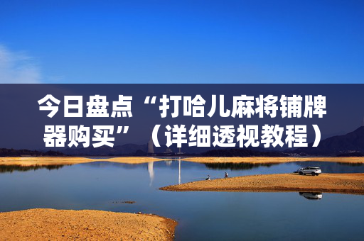 今日盘点“打哈儿麻将铺牌器购买”（详细透视教程）-哔哩哔哩