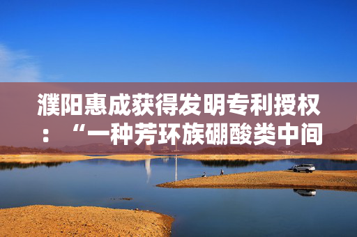 濮阳惠成获得发明专利授权：“一种芳环族硼酸类中间体材料制备用水冷设备”