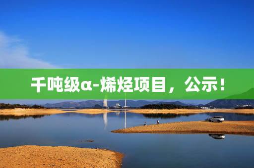 千吨级α-烯烃项目，公示！