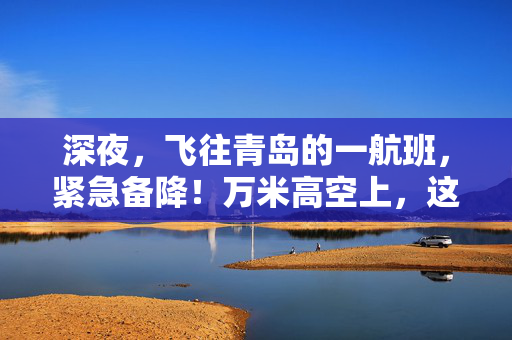 深夜，飞往青岛的一航班，紧急备降！万米高空上，这一幕太惊险……
