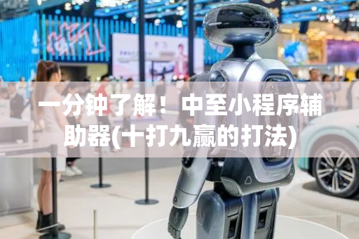 一分钟了解！中至小程序辅助器(十打九赢的打法)