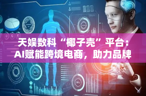 天娱数科“椰子壳”平台：AI赋能跨境电商，助力品牌增长