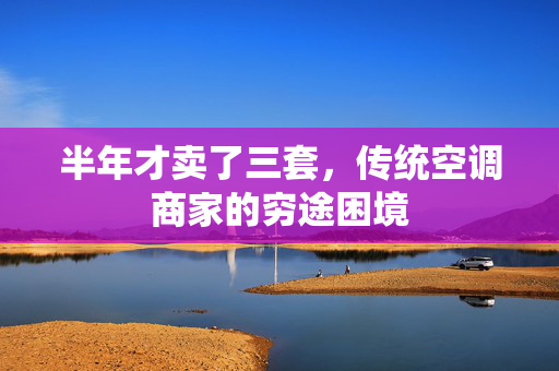半年才卖了三套，传统空调商家的穷途困境