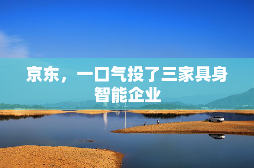 京东，一口气投了三家具身智能企业
