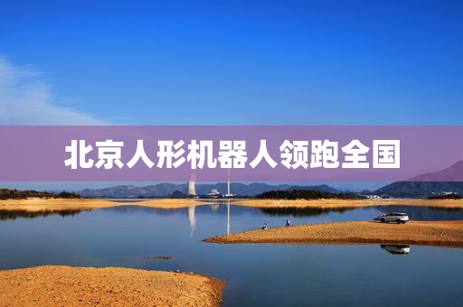 北京人形机器人领跑全国