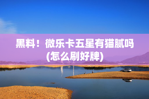 黑料！微乐卡五星有猫腻吗(怎么刷好牌)