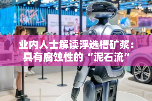 业内人士解读浮选槽矿浆：具有腐蚀性的“泥石流”