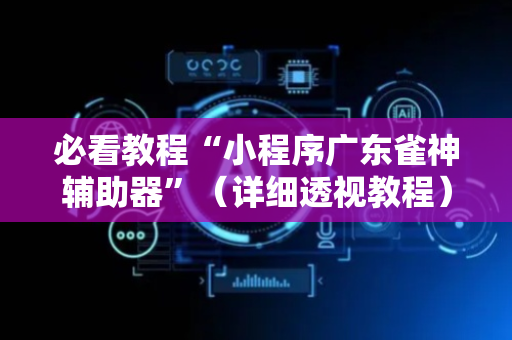 必看教程“小程序广东雀神辅助器”（详细透视教程）-哔哩哔哩