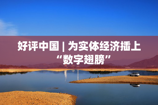 好评中国 | 为实体经济插上“数字翅膀”