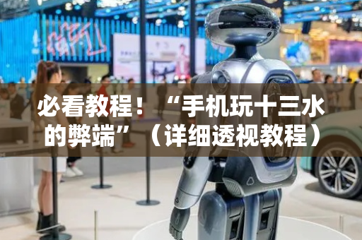 必看教程！“手机玩十三水的弊端”（详细透视教程）-哔哩哔哩