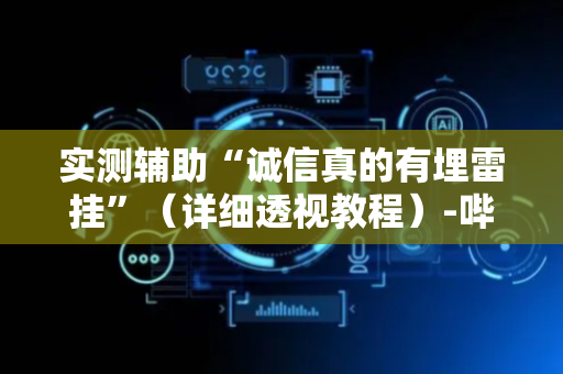 实测辅助“诚信真的有埋雷挂”（详细透视教程）-哔哩哔哩