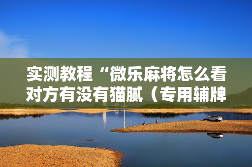 实测教程“微乐麻将怎么看对方有没有猫腻（专用辅牌神器免安装）
