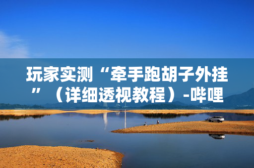 玩家实测“牵手跑胡子外挂”（详细透视教程）-哔哩哔哩