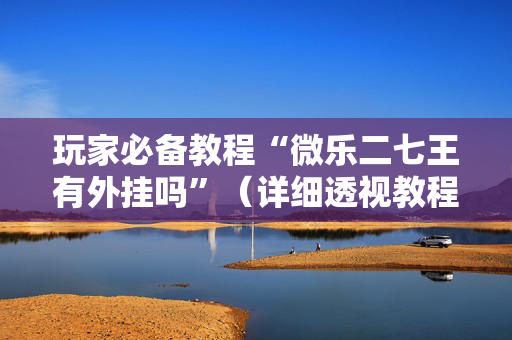玩家必备教程“微乐二七王有外挂吗”（详细透视教程）-哔哩哔哩